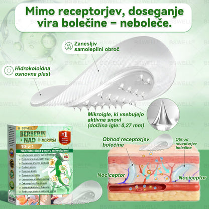🌻🌻BSWELL® Nano mikroneedling shujševalni obliž (Samo enkrat na dan, vidne spremembe v 28 dneh)  ✅ Za debelost, zdravje srca in ožilja, sladkorno bolezen, spalno apnejo, zdravje črevesja, težave s sklepi in še več.
