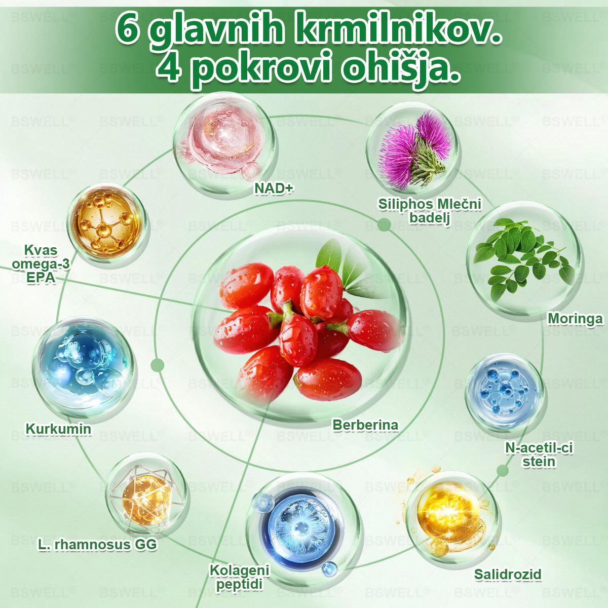 🌻🌻BSWELL® Nano mikroneedling shujševalni obliž (Samo enkrat na dan, vidne spremembe v 28 dneh)  ✅ Za debelost, zdravje srca in ožilja, sladkorno bolezen, spalno apnejo, zdravje črevesja, težave s sklepi in še več.